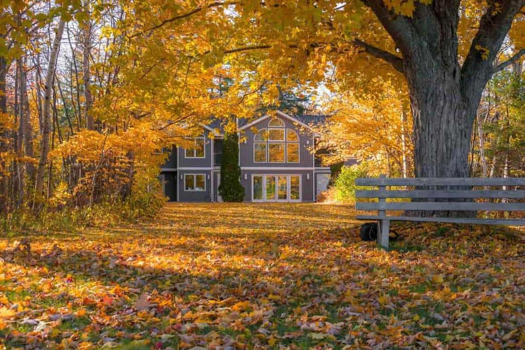 5 Home Improvements You Can Do for Fall